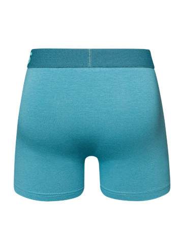 Pre dokonalý a originálny outfit Ľadovo modré pánske boxerky