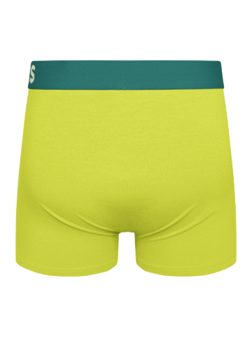 Potešte sa týmto kúskom Dedoles Boxer aderenti da uomo lime chiaro