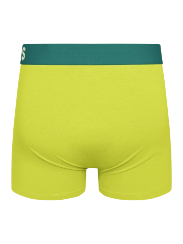 Potešte sa týmto kúskom Dedoles Muške bokserice boje svijetle limete