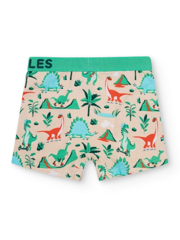 Hledáte originální a neobvyklý dárek? Obdarovaného zaručeně překvapí Veselé chlapecké boxerky Dino na skateboardu