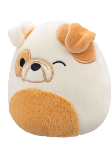 Tip na dárek SQUISHMALLOWS 2v1 kočka Geraldine a buldok Brock