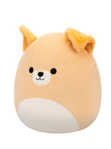 Lifestyle foto Squishmallows Cooper il cane fulvo con la pancia bianca, 30 cm