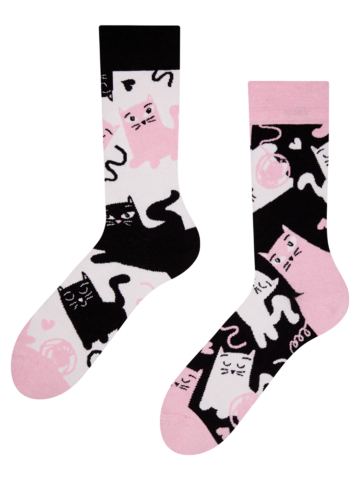 Lifestyle fotó Csomag cicaimádóknak