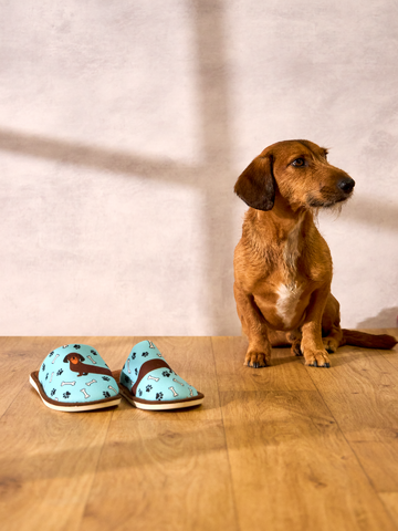 Lifestyle foto Pantofole Buonumore Bassotto lungo