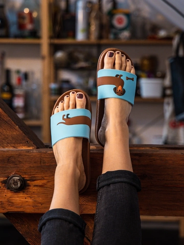 Zľava Živahni natikači Dolgodlaki jazbečar