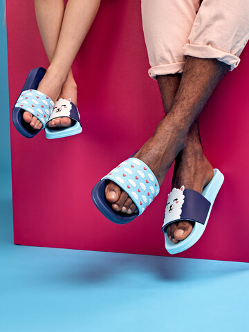 Sale Slides Llama & Clouds