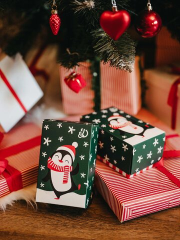 Pre dokonalý a originálny outfit Classic Gift Box Hello Penguin