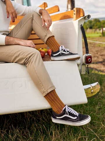 Potešte sa týmto kúskom Dedoles Bordeaux & geel jacquard-sokken