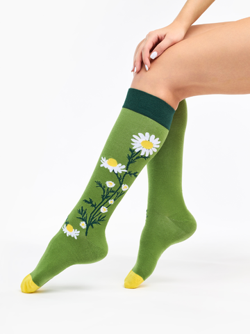 Sale Knee High Socks Chamomile Tea