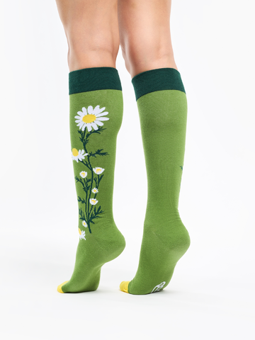 Pre dokonalý a originálny outfit Knee High Socks Chamomile Tea