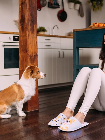 Výjimečný dárek od Dedoles Veselé papuče Pes Corgi