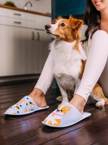 Tip na dárek Veselé papuče Pes Corgi