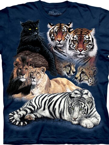 Lifestyle foto Big Cat Collage Adult