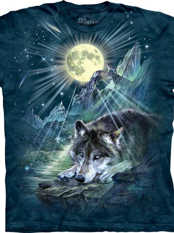 Eredeti és szokatlan ajándékot keres? a megajándékozottat garantáltan meglepi Éjjeli szimfónia póló