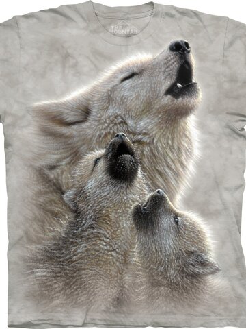 Výpredaj Singing Lessons Adult