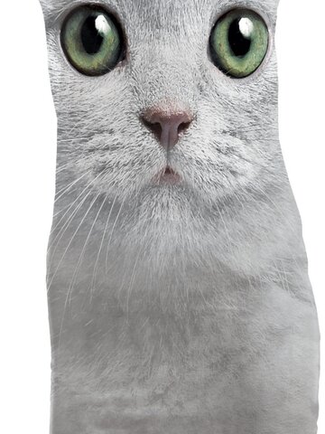 Foto Green Eyes Face  Adult