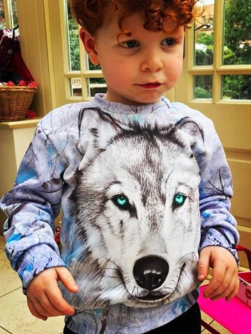 Tip na dárek Dětská mikina bez kapuce Vlk