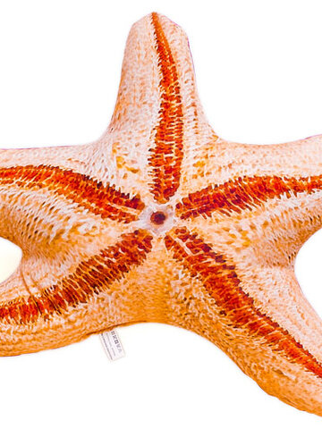 Hľadáte originálny a nezvyčajný darček? Obdarovaného zaručene prekvapí Vankúš Hviezdovka - 55 cm