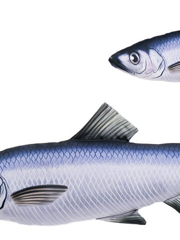 Hľadáte originálny a nezvyčajný darček? Obdarovaného zaručene prekvapí Pillow Herrings – 37 cm