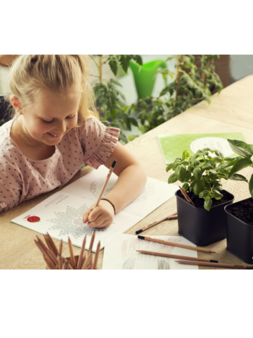 Zľava Zasaď ceruzku - Hrachor voňavý