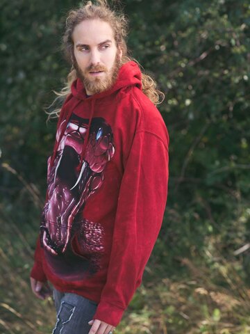 Kedvezmény Kapucnis pulóver Piros mamba 