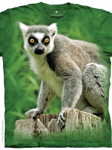 Výnimočný darček od Dedoles Tričko Lemur Kata - detské