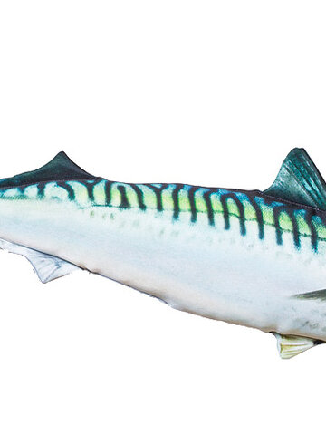 Výpredaj Vankúš Makrela - 50 cm