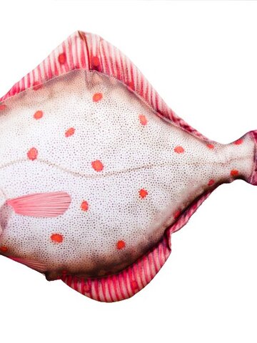 Obrázok produktu Vankúš Platýz - 40 cm