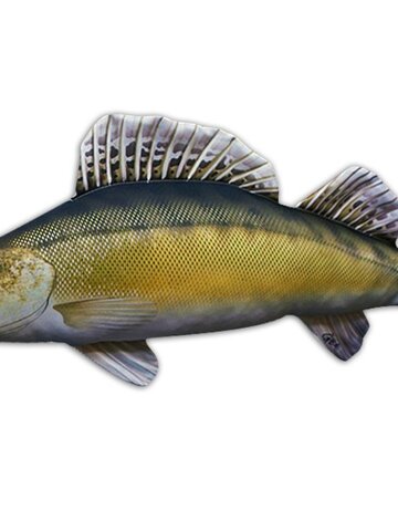 Obrázok produktu Vankúš Zubáč - 77 cm