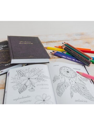 Výpredaj Motivačný diár 2019