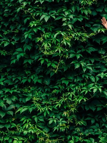 Výprodej Unikátní tepláky aladinky Mary Jane