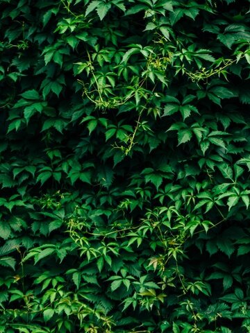 pro dokonalý a originální outfit Unikátní tepláky aladinky Mary Jane