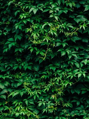 Sleva Unikátní tepláky aladinky Mary Jane
