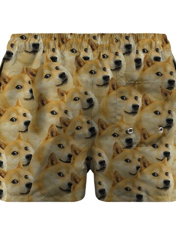 Sleva Pánské plavkové šortky Doge Akita