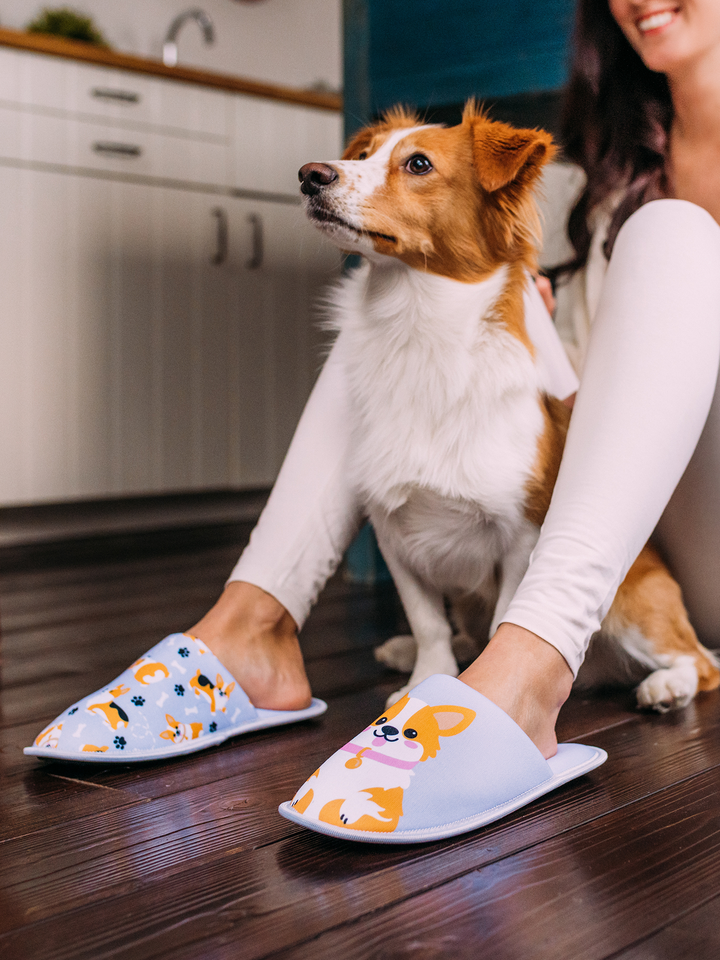 Trova Produttori Di Pantofole Pug Di Alta Qualità E Fornitori Di Pantofole Pug Su - Foto 9