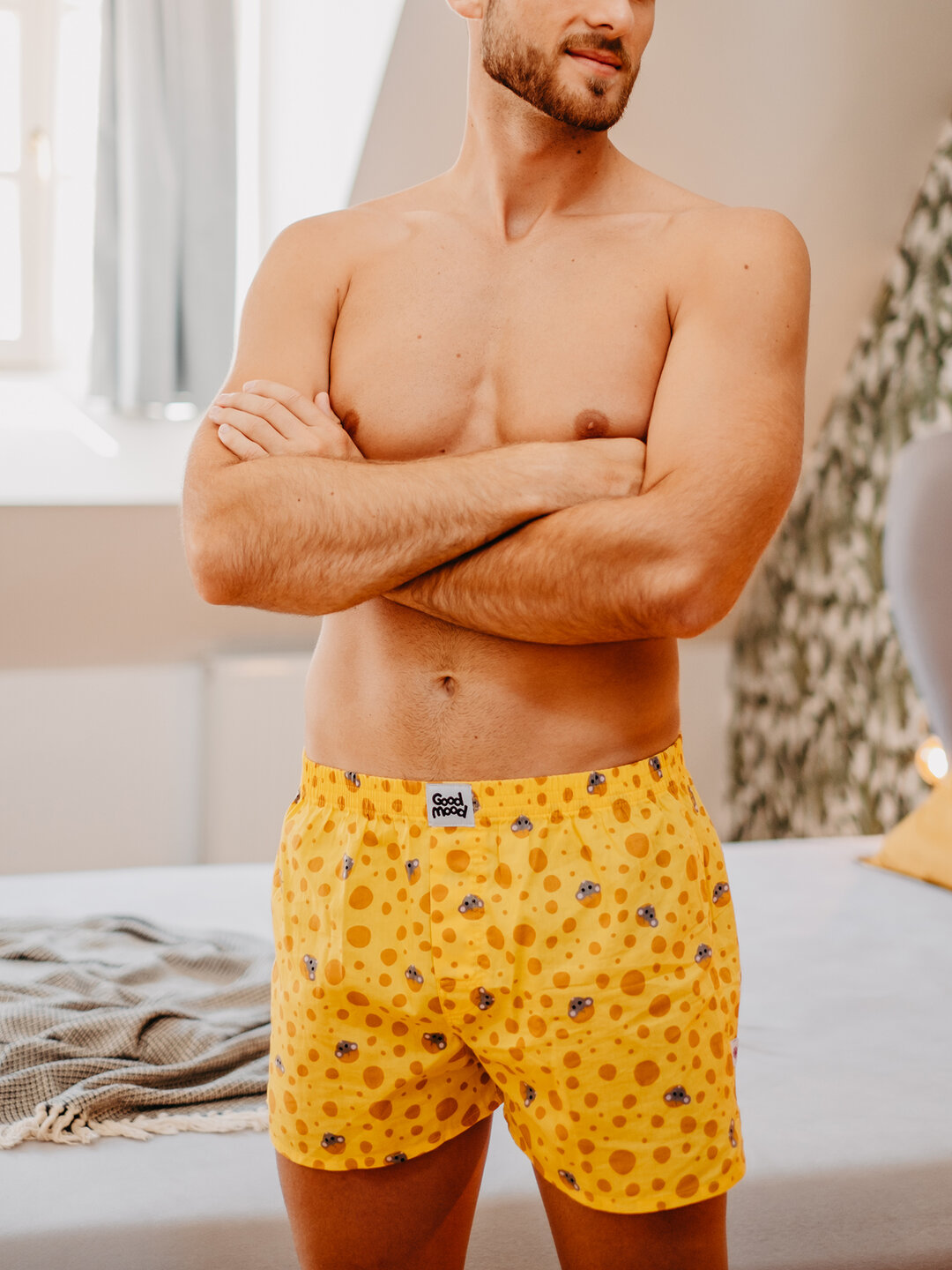 Men's Boxer Shorts Cheese Dedoles