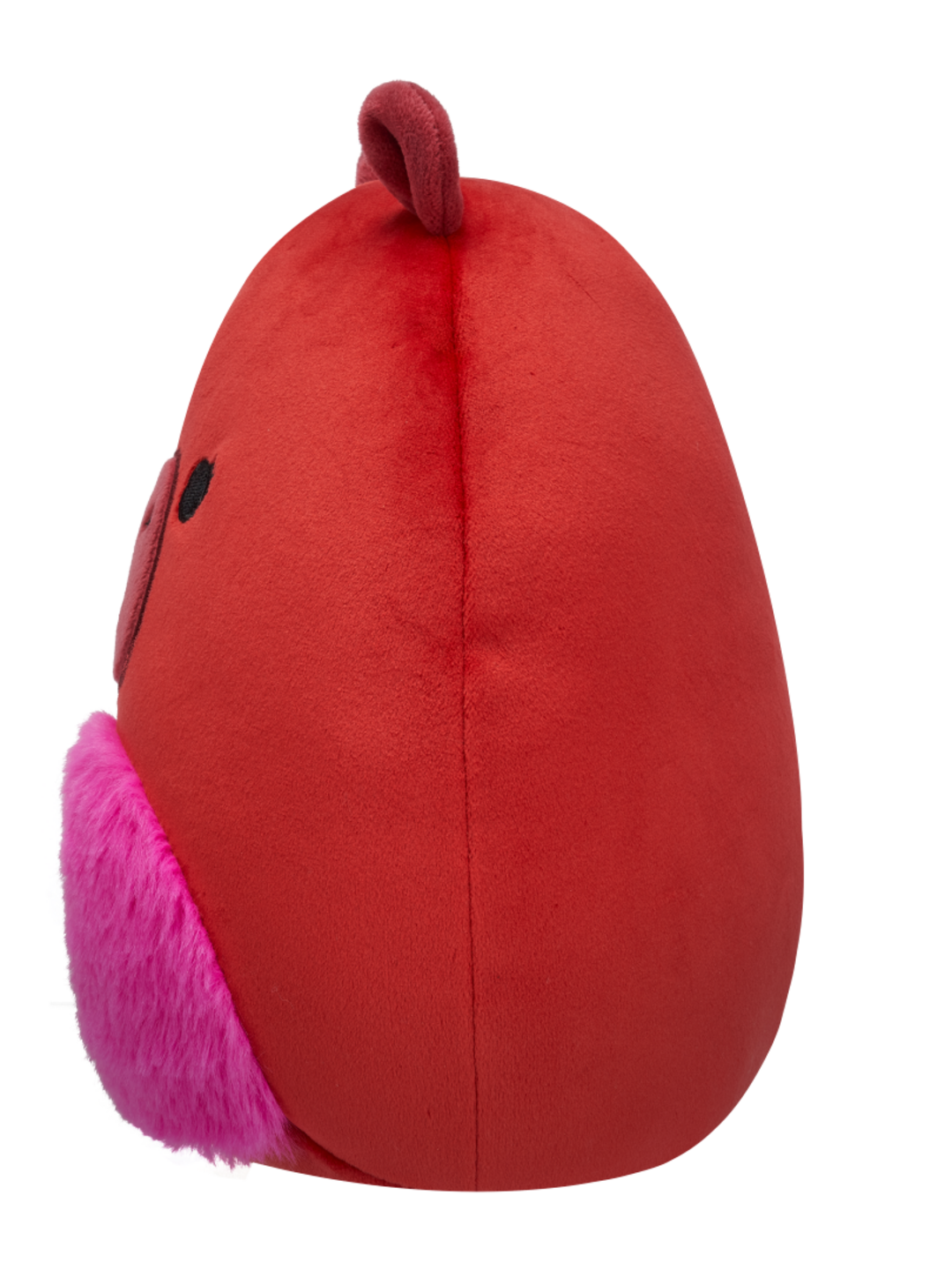 Squishmallows marcia la capibara marrone con pancia crespa 20 cm dedoles
