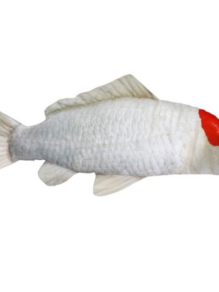 Hľadáte originálny a nezvyčajný darček? Obdarovaného zaručene prekvapí Vankúš Koi kapor Tancho - 60 cm