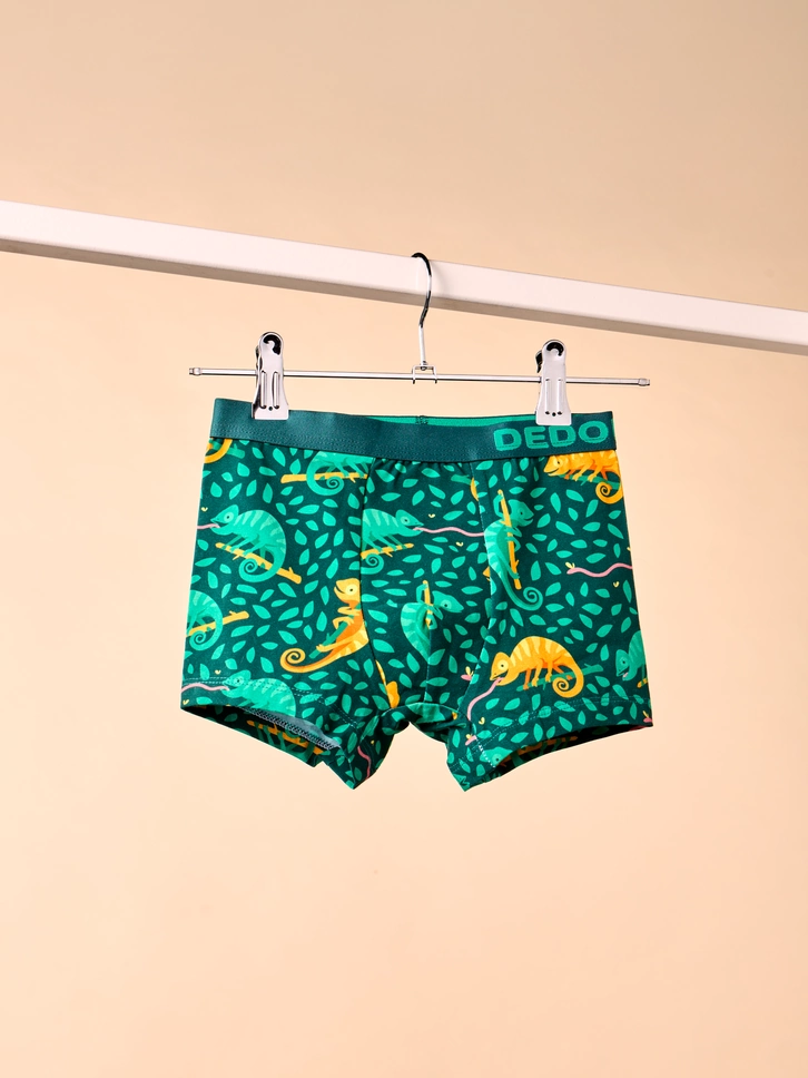 Obrázok produktu Veselé chlapčenské boxerky Chameleón na love