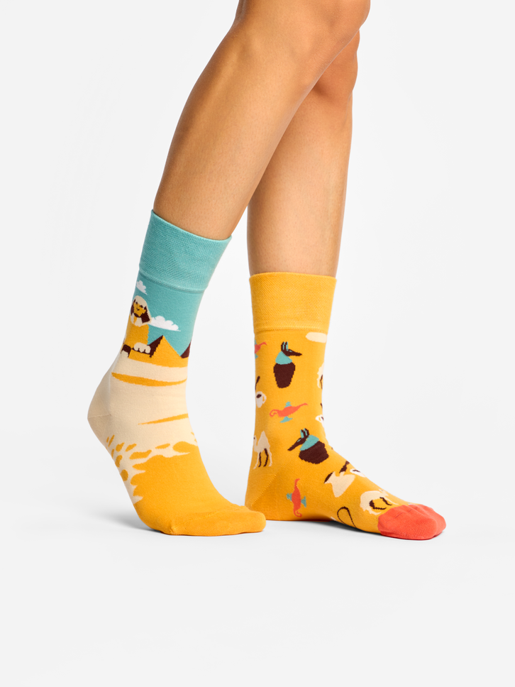 Potešte sa týmto kúskom Dedoles Весели чорапи Египет