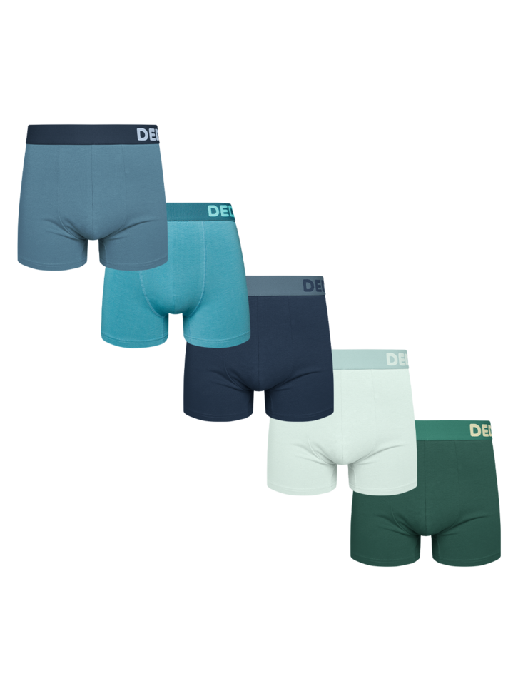 Tip na darček Комплект 5 броя мъжки боксерки – Горски бриз