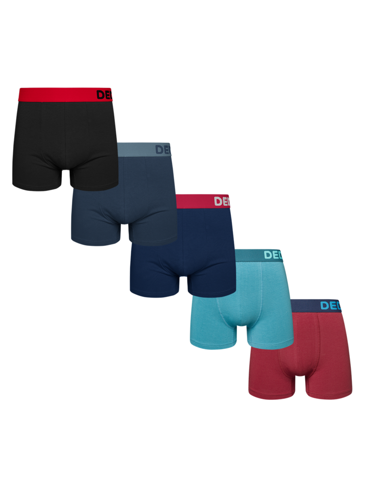 Lifestyle foto Комплект 5 броя мъжки боксерки – Огън и лед