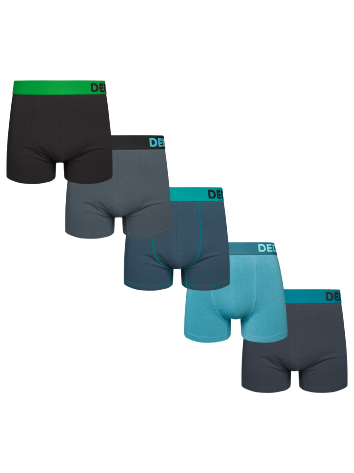 Foto Sada 5 pánských boxerek – Studené tóny
