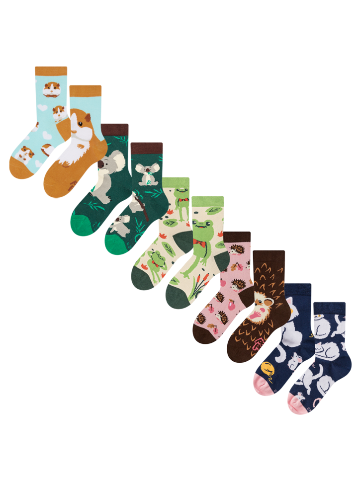 Obrázok produktu Confezione da 5 calzini da bambina - Amici animali