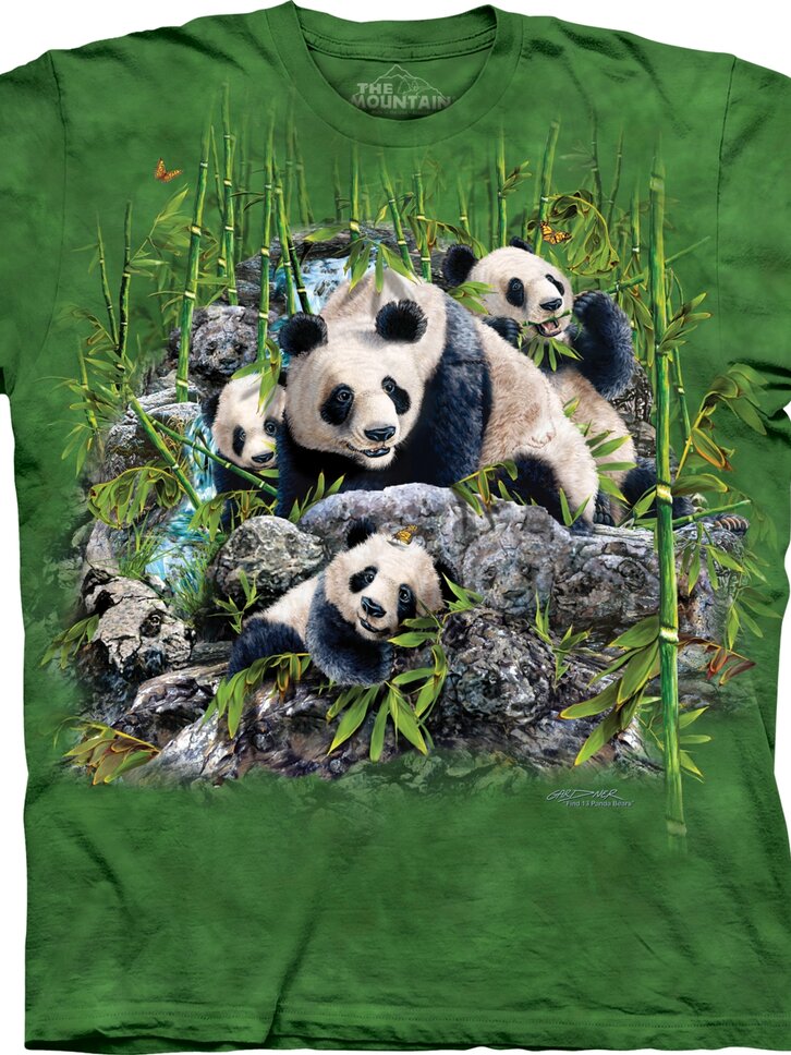 Tip na dárek Tričko Najdi 13 pand