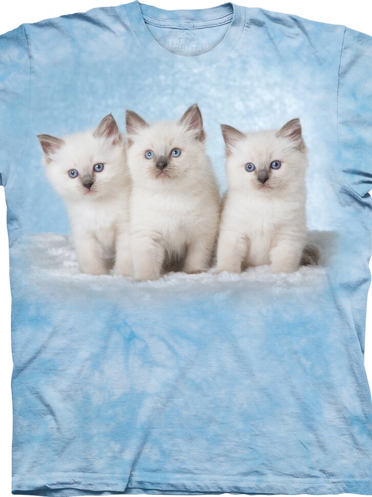 Lifestyle fotó Cicák a felhőcskén póló