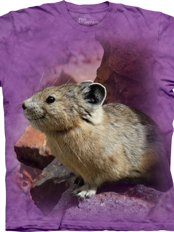 Obrázok produktu Pika Pika! Child XL