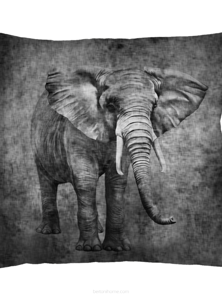 Tip na darček Dekoratívny vankúš Kongo 40x40 cm