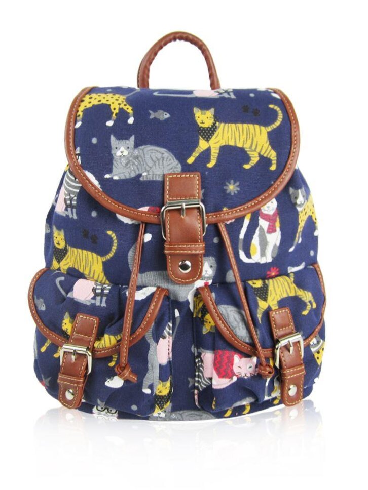Lifestyle fotó Sötétkék hátizsák Macska mix