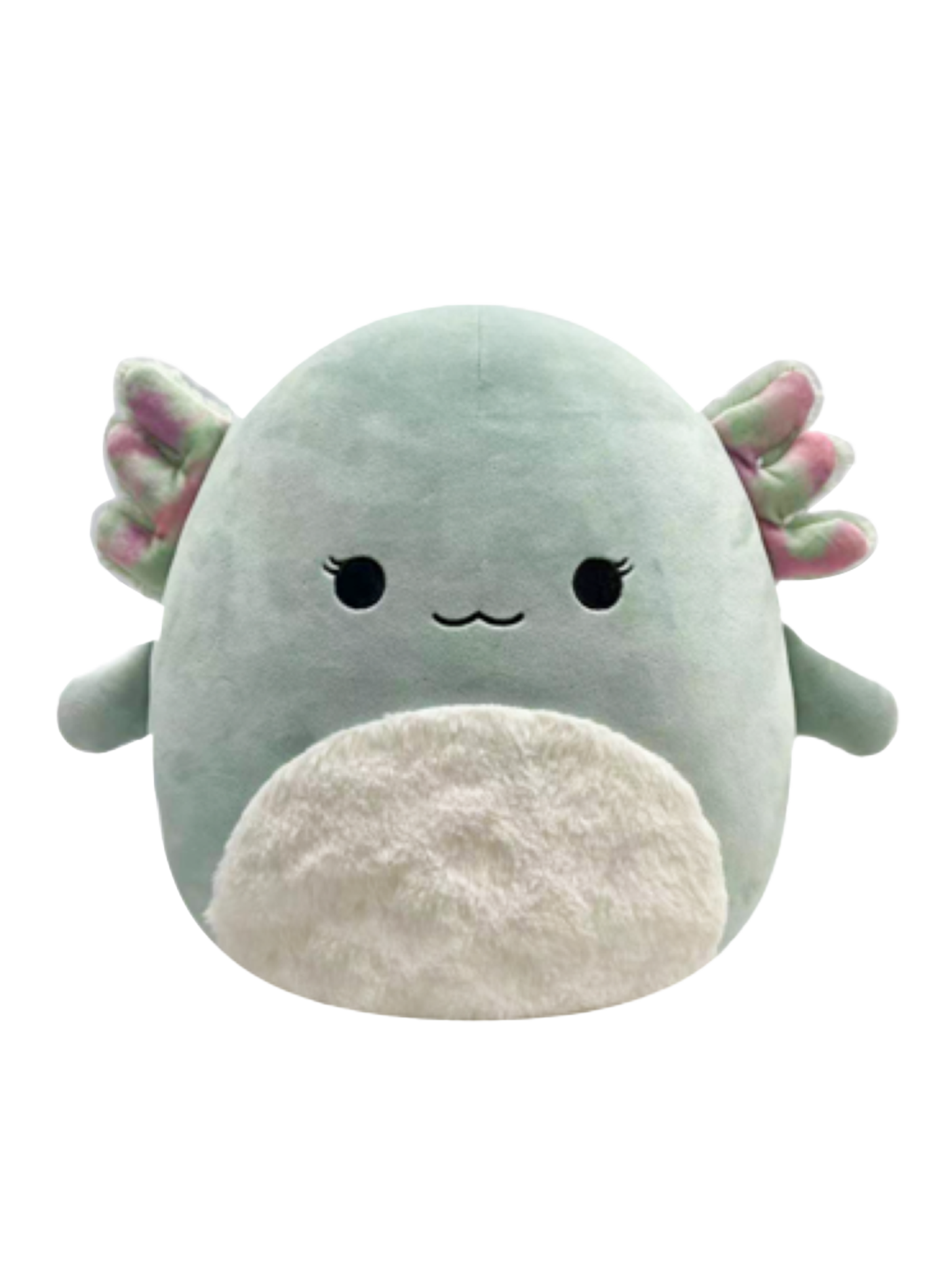 Honda Odyssey Cylinder 1 Misfiresquishmallow Axolotl Name - 5votltn
